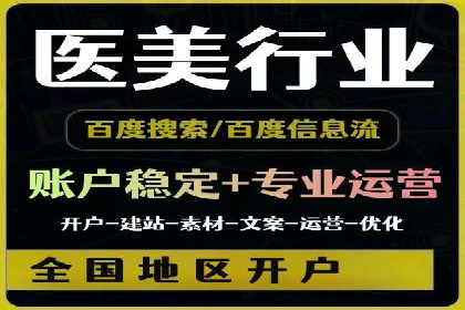 跨行业SEM广告投放的多样化案例分析